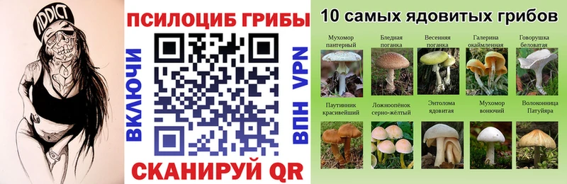 Купить где  Данков  Галлюциногенные грибы мухоморы 
